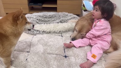 うにくんが登場