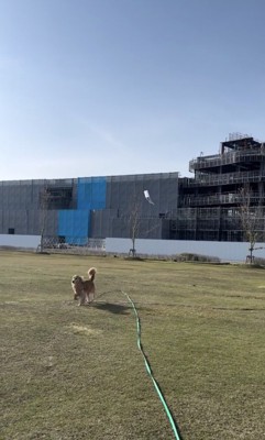 凧揚げできてる