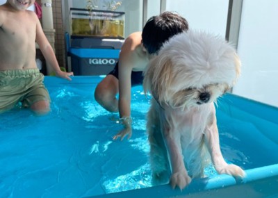 仲良しきょうだい