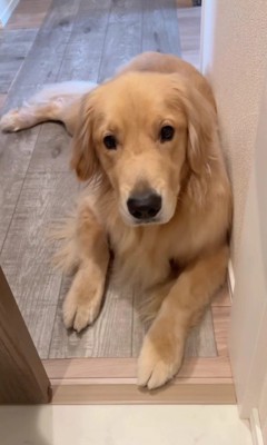 ずっと待ってたよ♡