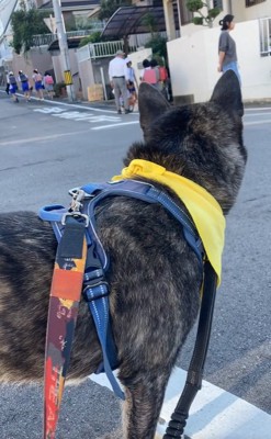 小学生を見守るオレオくん