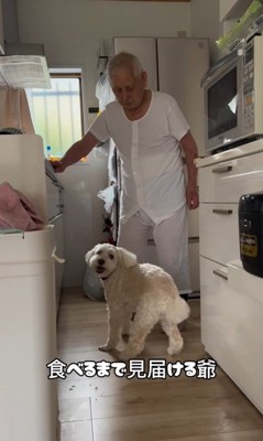 ワンコとおじいちゃんの日常9