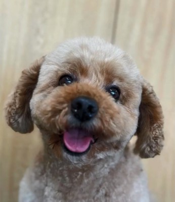 笑顔のイオくん