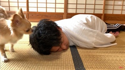 みるくちゃんの前で死んだフリをしたら2