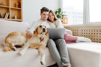 ソファーでくつろぐ大型犬と夫婦