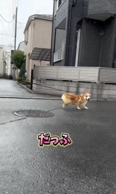チラッ