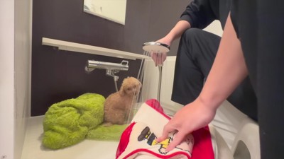 丁寧に洗って…