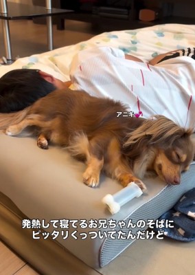 お兄ちゃんに寄り添うアムくん