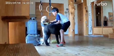 喜びが伝わってきます