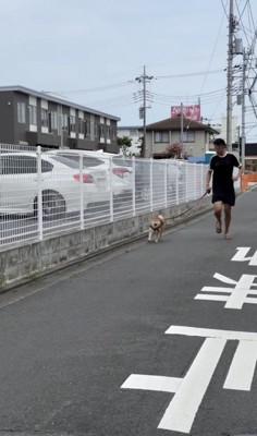 走り出すはちちゃん