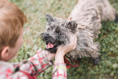 犬を褒めるこども