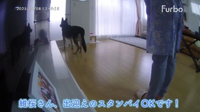 「帰ってきたみたい!」