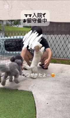 レオくんとサラちゃんの熱烈歓迎4