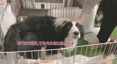 おさまらない怒り