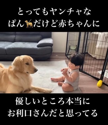 赤ちゃんに優しいぱん君4