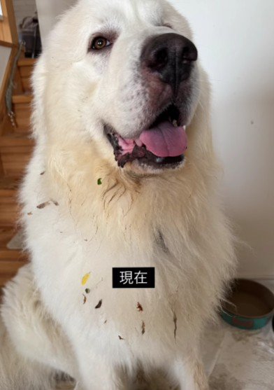 こんなに変わった！