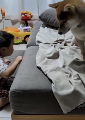 起き上がる男の子