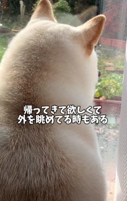 「帰ってこないかな…」