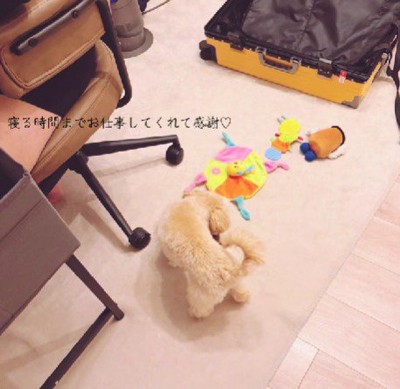 パパへの愛が止まらない!!