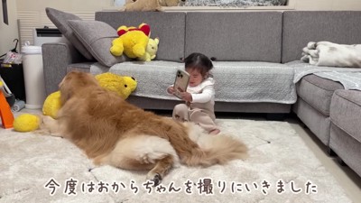 おからちゃんも撮らなきゃね