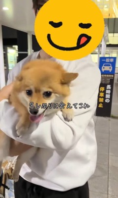 あずきちゃんとママの再会4