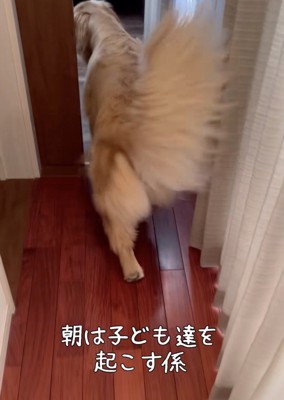「朝ですよー!」