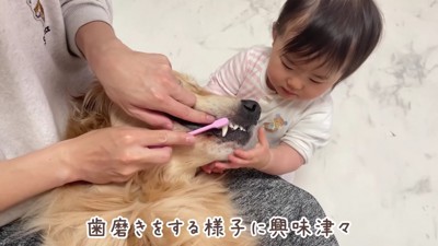ほのちゃんも興味津々！