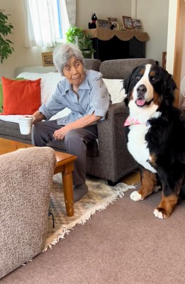 飼い主さんを見るリンちゃん