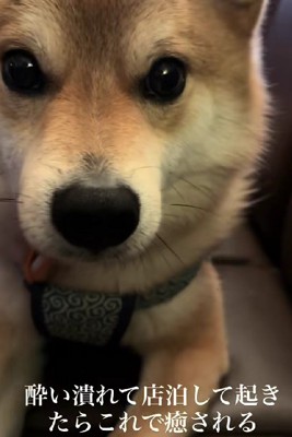 スタッフを労うのは僕!