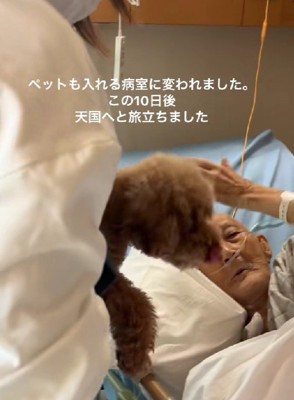 入院していたおじいちゃん