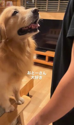 パパさんに甘えるモッシュくん2