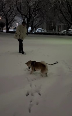 あの頃が嘘みたい…!