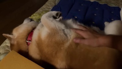 アピール成功!?