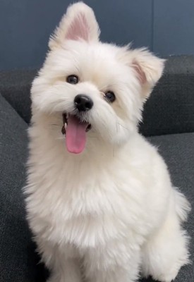 成長したぽぽちゃん2