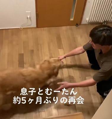 猛ダッシュで息子さんの元へ