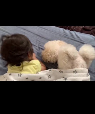 起こしちゃった！！