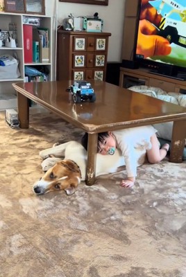 テーブルの下のふたり