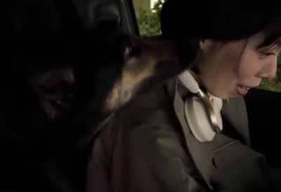 顔を寄せる犬と人