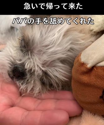 「待ってたよ」