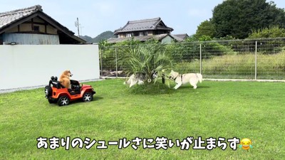 友達たくさんできたよ！