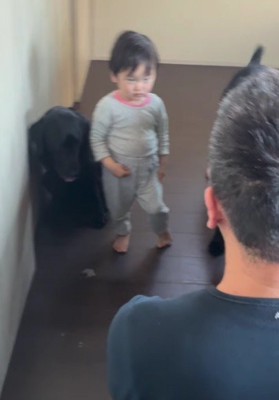パパが男の子を叱ると…