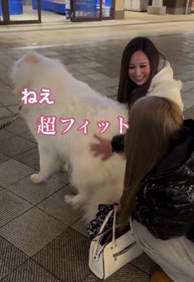 「超フィットしてるw」