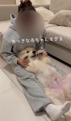 赤ちゃんのように甘えるぴの君2