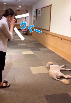 りくくんの名前を呼ぶ職員さん