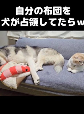 優しい行動に感嘆