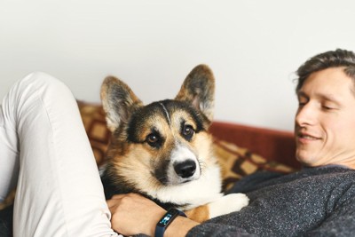 男性と犬