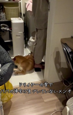 パパが帰宅したら…