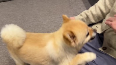 やっぱりダメだった！！