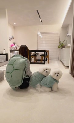亀になりきる王子くん＆あんじちゃん2