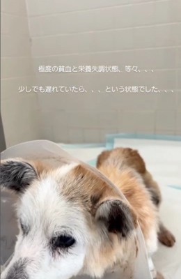 予断を許さない状態だった
